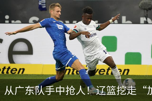 从广东队手中抢人！辽篮挖走“加强版杜润旺”，杜锋痛失锋线新星